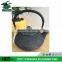 fashion style different designs unique antique cast iron kettle /teapot