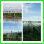 HDPE hail guard net for apple tree ,the best anti hail net