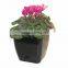 2016 hot sales fashion Indoor Plastic Flowerpot for potting