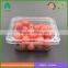 Food grade 250g plastic strawberry punnet