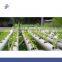 Agricultural Greenhouse Hydroponic Garden Flat System