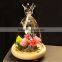 glass bread cover,glass cheese cover,mini dome cloches