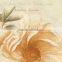 240x660 marble tile, bathroom indoor tile, flower ceramic wall tiles