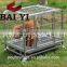 Decorative Stainless Steel Dog Cage