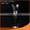 wine glass/glass goblet
