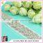 HC-16-1 Hechun Wedding Dress Ornaments Decorative Rhinestone Beaded Trim