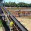 Palm oil processing machine