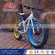 Big tyre bike with good price /21 speeds fat tire bike / 26 inch fat tire snow bike