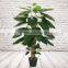 Artificial Pothos Plants On Coconut Pole