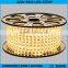220v double line flexible led strip lights 5630smd 180leds/m                        
                                                Quality Choice