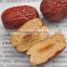 chinese jujube red dates dried jujubes