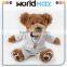 Custom Plush Teddy Bear(TB1118)
