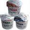 Yogurt Production and Filling Line China