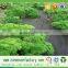 Agriculture non woven fabric black 70gsm weed control fabric