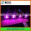 Shenzhen Factory Good Quality DC 24V Outdoor Dmx512 Led Flood Light 10W RGB