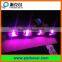 Rainproof IP65 24VDC RGB color 10W DMX washer