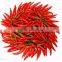 HX manufacturer supply high quality Capsaicin power with good Price