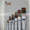 Professional essential Artist brush