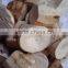 TAPIOCA CHIP_ CHEAPEST PRICE and GOOD QUALITY (mary@vietnambiomass.com)