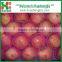 Fresh apple names all fruits fruit and vegetables apple prices
