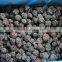 IQF/Frozen Blackberry