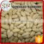 Salt red coral blanched peanuts