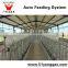 Pig House labor saving automatic augur feed system