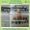 Textured Soya Meat Nuggets Protein Food Extruder