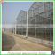 Hot-dip galvanized steel structure large span greenhouses with manufacturer