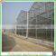 Hot sale multi-span glass 16m agriculture greenhouses with best price