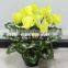 SJ300917 Artificial bonsai plant flower