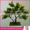 Home decoration indoor bonsai trees for interior decoration