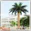 2015 Artificial 3-30m indoor or outdoor Home Date Palm Tree,artificial tree,artificial plant