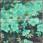 Elegant Colorful Tassel Fringe Style Applique Designs 3d Tulle Swiss Lace Fabric