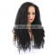 Wholesale wigs KINKY CURL full lace wigs for black women