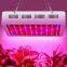 Full Spectrum LED Grow Lights 1000watts for Plant Factory City Farming