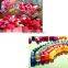 sugar coating / candy polishing machine/ chocolate coater