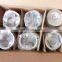 Diesel Engine Parts 6BT5.9 Piston Kit 3957797