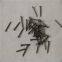 Common Iron Nail for Building Material Construction