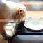 Amazon Hot Sell New Style Dogs Cats Water Double Bowls Pet Feeder Water Disposer Neck Protection