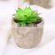 Fake plants simulate succulent bonsai creative flowers simulate potted plants potted trinket