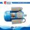 YL series cast iron B3 B5 B35 B14 B34 mount type single phase Electromotor