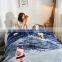 Wholesale autumn and winter new thick double-layer student nap Raschel blanket