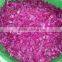 Vietnam High Quality Frozen Dragon Fruit/ Pitaya Fruit