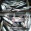 Frozen Mackerel Pacific 150-300g