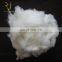 White/Brown/Black Pure Combed Raw Wool Iner Mongolia Cashmere Wool Fiber