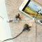 Excellent quality low price Sports Stereo Bluetooth Headset bluetooth stereo earphone