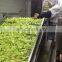 BRC A Approved IQF Cauliflower  IQF Frozen Cauliflower  with high quality Sinocharm