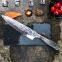 8 inch Chef Knife High Carbon German Stainless Steel Kitchen Knife with Pakkawood Handle