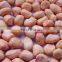 GOOD QUALITY PINK SKIN ROUND PEANUTS